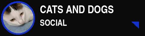 Cats and Dogs Social